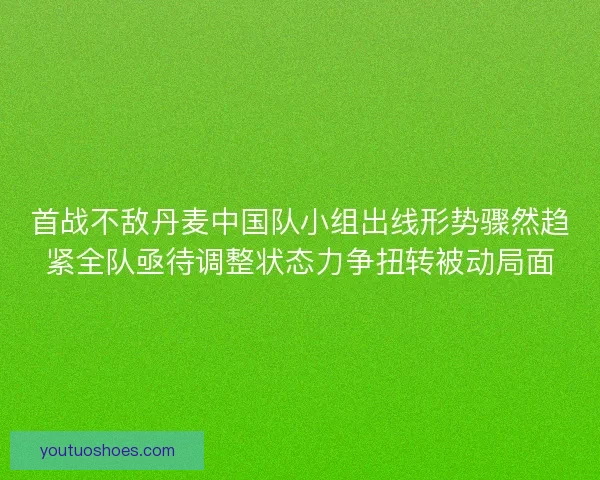 首战不敌丹麦中国队小组出线形势骤然趋紧全队亟待调整状态力争扭转被动局面
