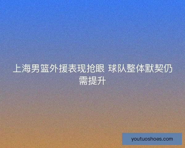 上海男篮外援表现抢眼 球队整体默契仍需提升