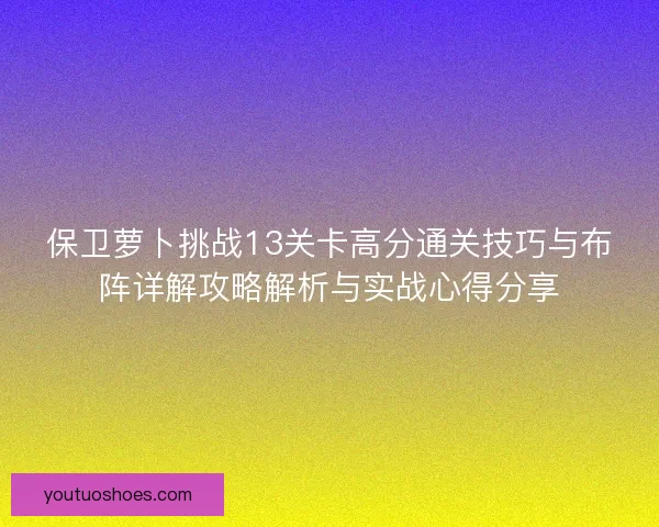 保卫萝卜挑战13关卡高分通关技巧与布阵详解攻略解析与实战心得分享
