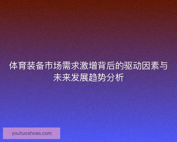 体育装备市场需求激增背后的驱动因素与未来发展趋势分析