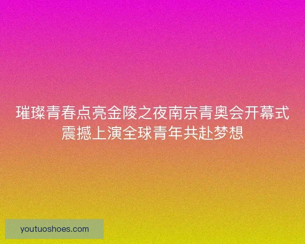 璀璨青春点亮金陵之夜南京青奥会开幕式震撼上演全球青年共赴梦想 璀璨青春点亮金陵之夜南京青奥会开幕式震撼上演全球青年共赴梦想