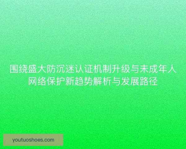围绕盛大防沉迷认证机制升级与未成年人网络保护新趋势解析与发展路径 围绕盛大防沉迷认证机制升级与未成年人网络保护新趋势解析与发展路径